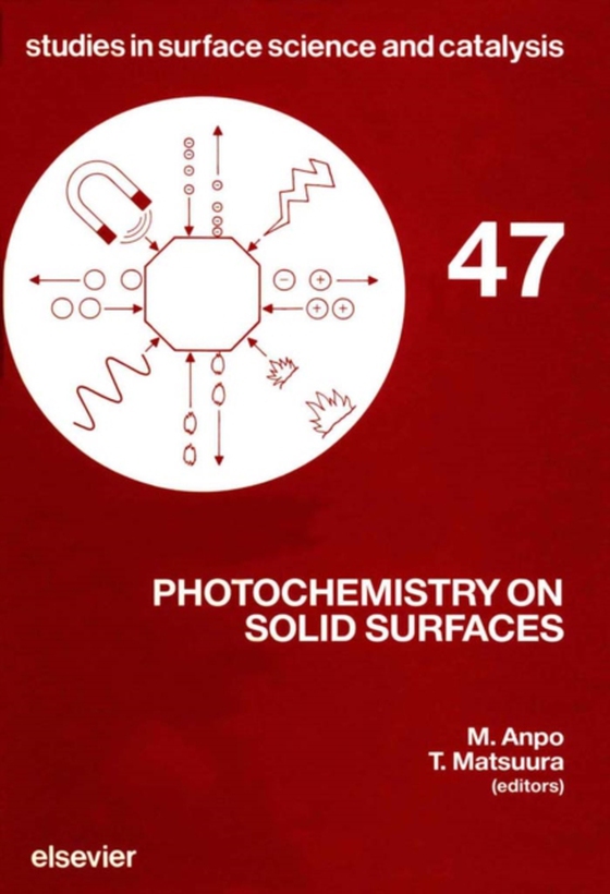 Photochemistry on Solid Surfaces (e-bog) af -