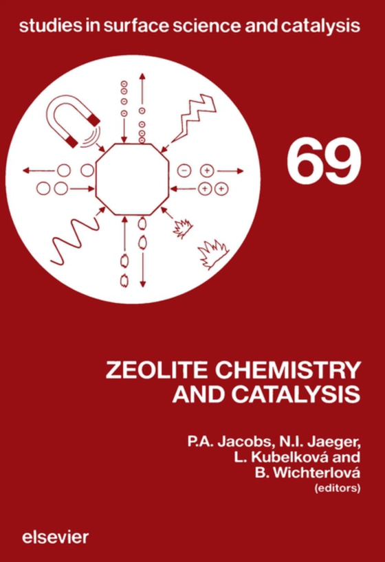 Zeolite Chemistry and Catalysis (e-bog) af -