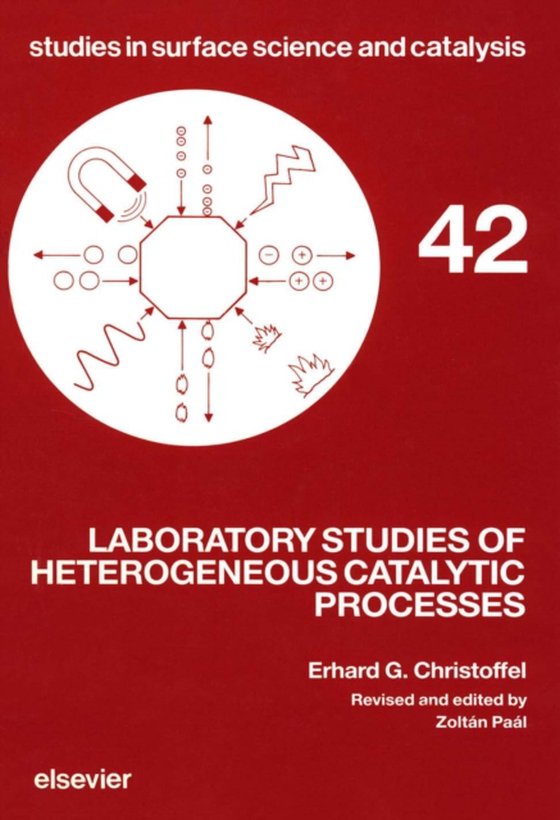 Laboratory Studies of Heterogeneous Catalytic Processes (e-bog) af Paal, Z.