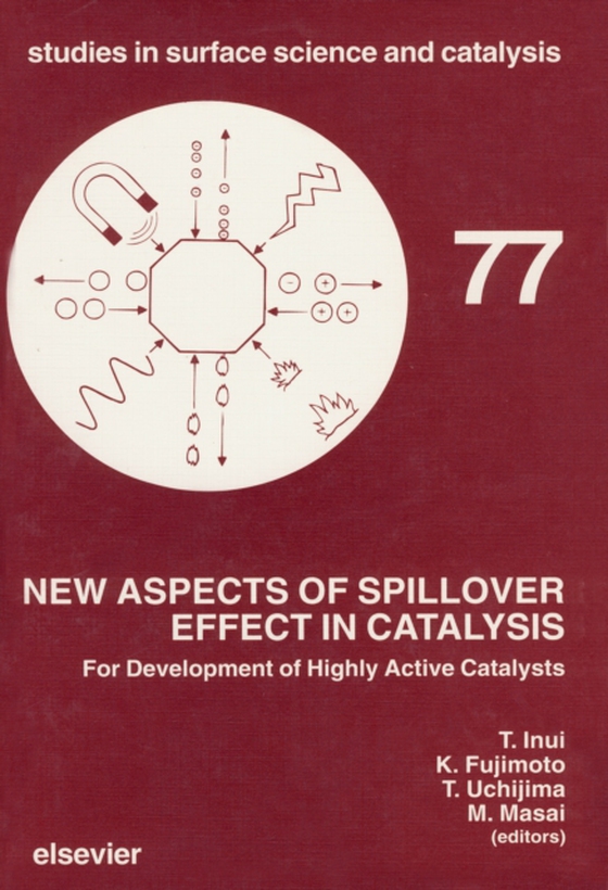 New Aspects of Spillover Effect in Catalysis (e-bog) af -