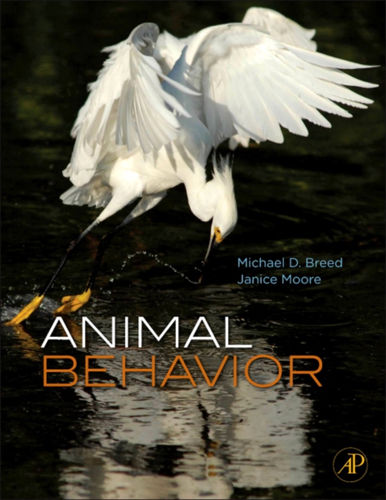 Animal Behavior (e-bog) af Moore, Janice