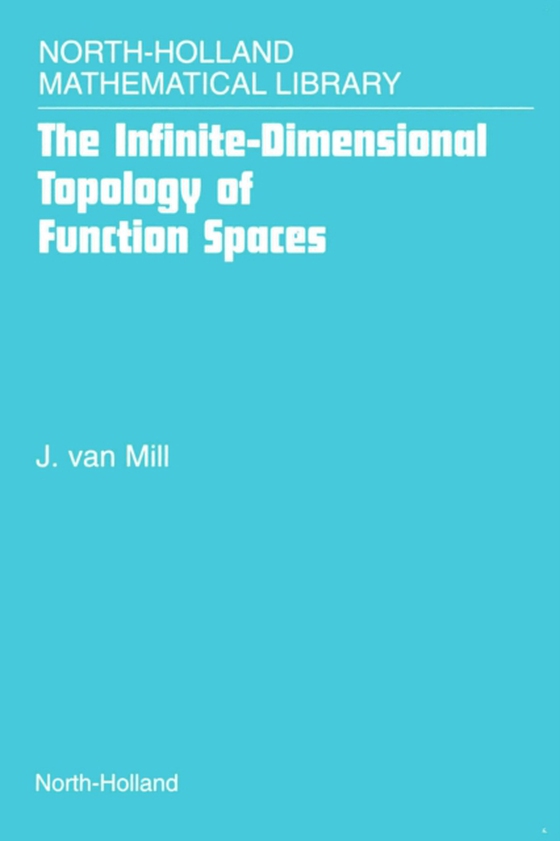 Infinite-Dimensional Topology of Function Spaces