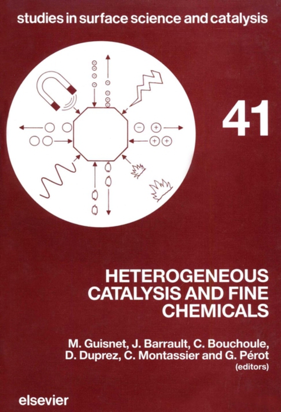 Heterogeneous Catalysis and Fine Chemicals (e-bog) af -