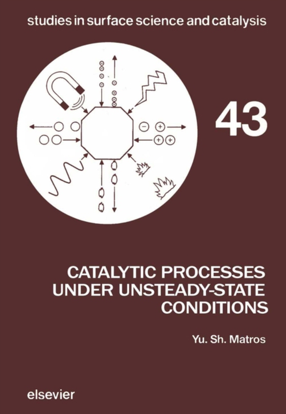 Catalytic Processes Under Unsteady-State Conditions (e-bog) af Matros, Y.S.