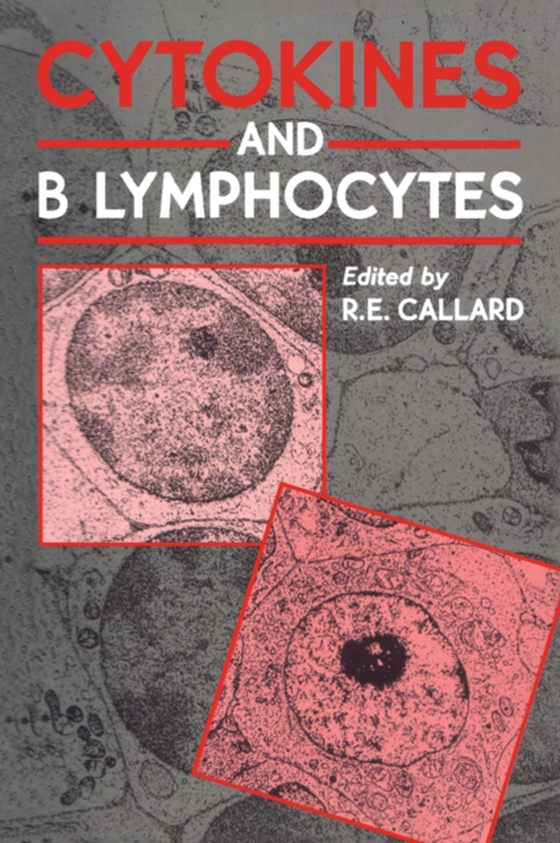 Cytokines and B Lymphocytes (e-bog) af -