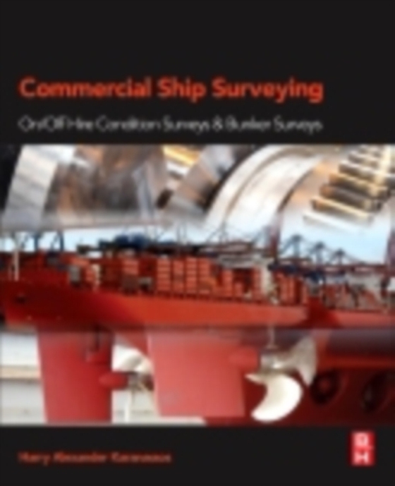 Commercial Ship Surveying