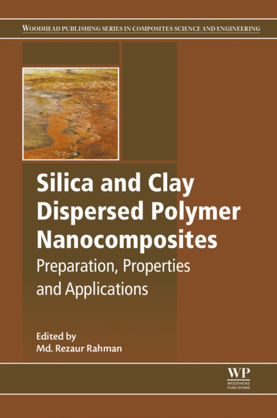 Silica and Clay Dispersed Polymer Nanocomposites (e-bog) af -