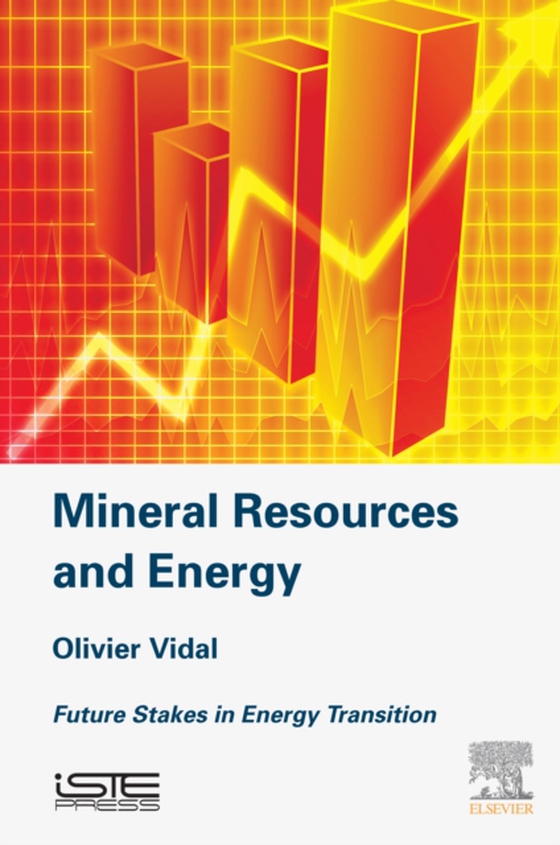 Mineral Resources and Energy (e-bog) af Vidal, Olivier