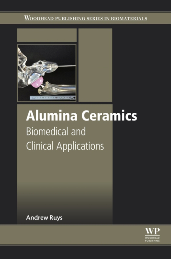 Alumina Ceramics (e-bog) af Ruys, Andrew J.