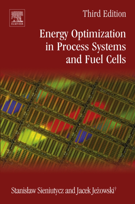 Energy Optimization in Process Systems and Fuel Cells (e-bog) af Jezowski, Jacek