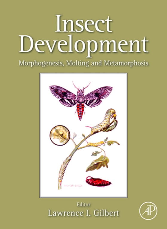 Insect Development (e-bog) af -