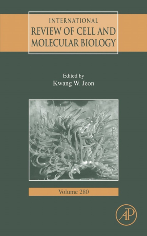 International Review of Cell and Molecular Biology (e-bog) af -