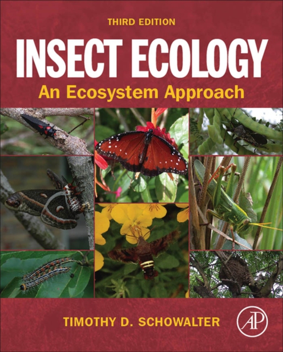 Insect Ecology (e-bog) af Schowalter, Timothy D.