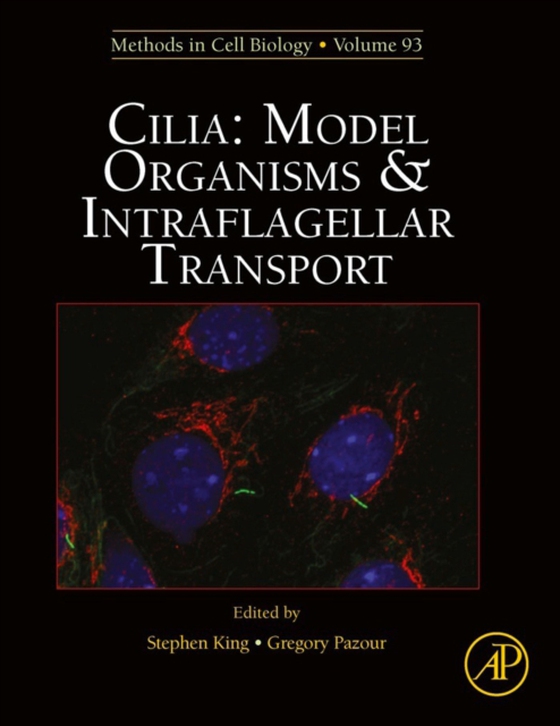 Cilia: Model Organisms and Intraflagellar Transport