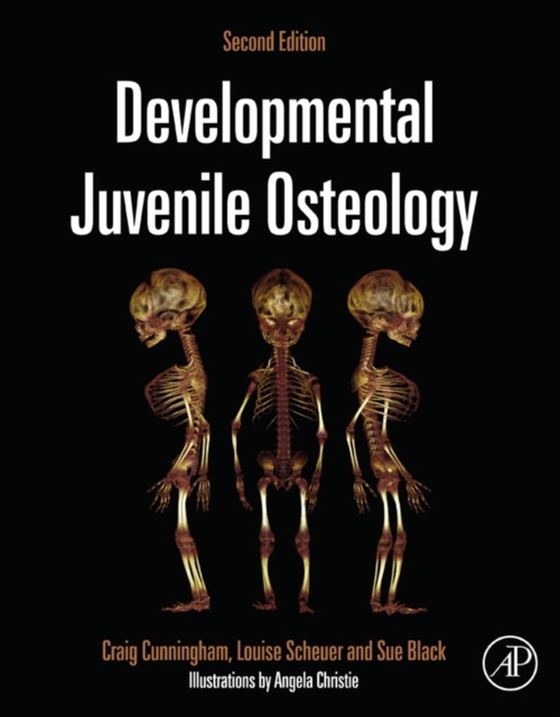 Developmental Juvenile Osteology (e-bog) af Black, Sue