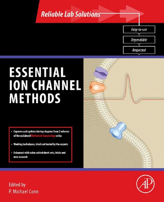 Essential Ion Channel Methods (e-bog) af -