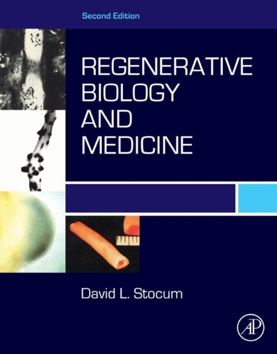 Regenerative Biology and Medicine (e-bog) af Stocum, David L.