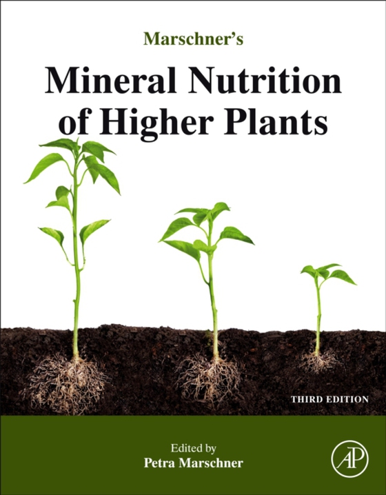 Marschner's Mineral Nutrition of Higher Plants (e-bog) af -