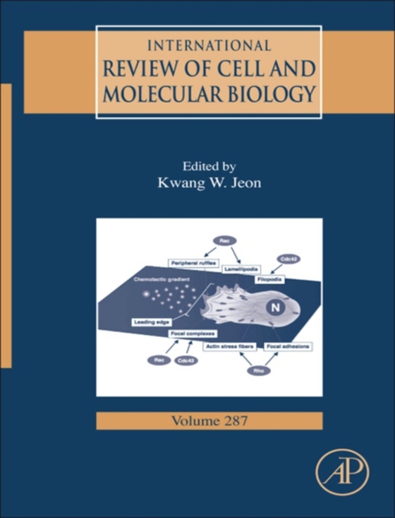 International Review of Cell and Molecular Biology (e-bog) af -