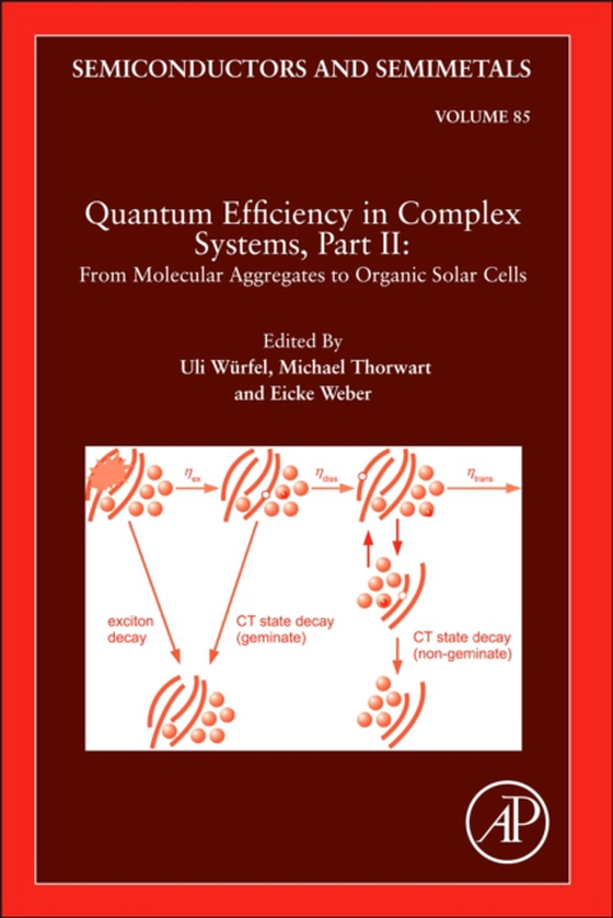Quantum Efficiency in Complex Systems, Part II: From Molecular Aggregates to Organic Solar Cells (e-bog) af -