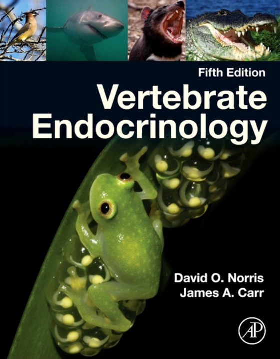 Vertebrate Endocrinology (e-bog) af Carr, James A.