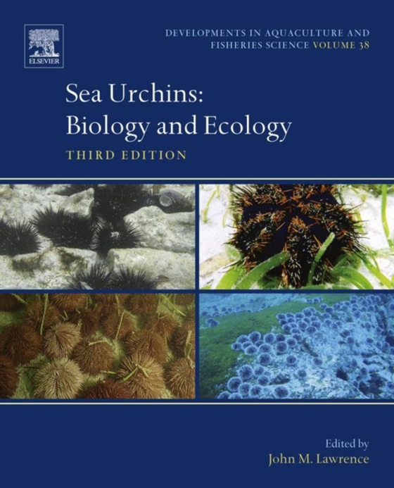 Sea Urchins (e-bog) af -