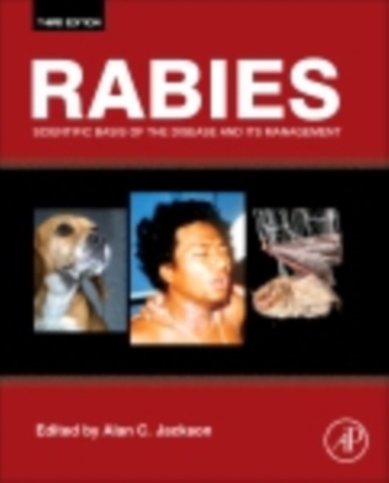 Rabies (e-bog) af -