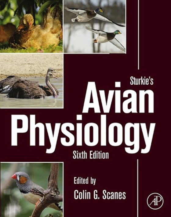 Sturkie's Avian Physiology (e-bog) af -