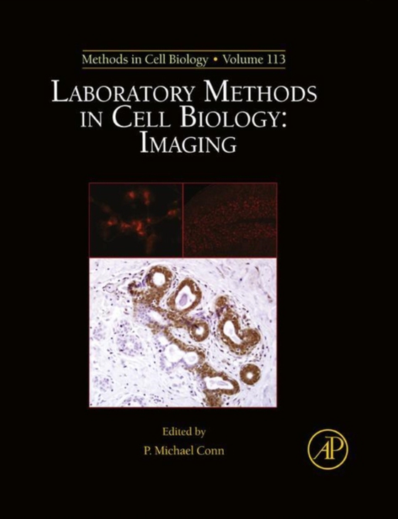 Laboratory Methods in Cell Biology: Imaging (e-bog) af -