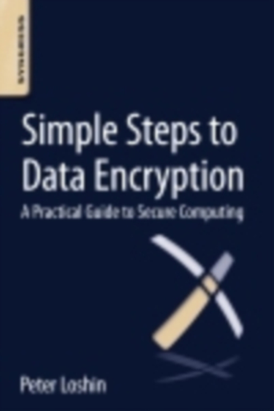 Simple Steps to Data Encryption (e-bog) af Loshin, Peter