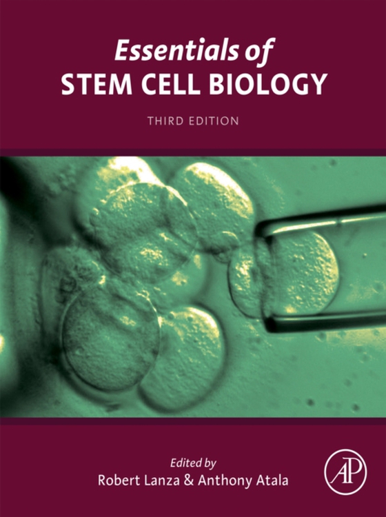 Essentials of Stem Cell Biology (e-bog) af -