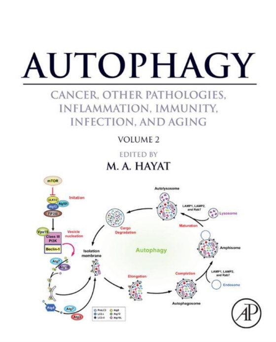 Autophagy: Cancer, Other Pathologies, Inflammation, Immunity, Infection, and Aging (e-bog) af -