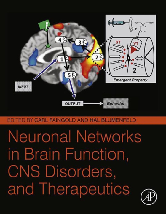 Neuronal Networks in Brain Function, CNS Disorders, and Therapeutics (e-bog) af -