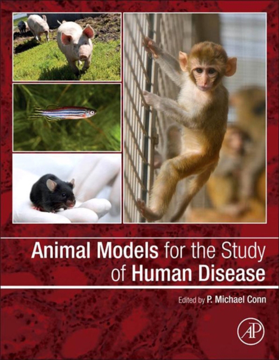 Animal Models for the Study of Human Disease (e-bog) af -