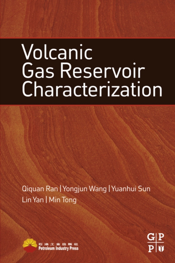 Volcanic Gas Reservoir Characterization (e-bog) af Tong, Min