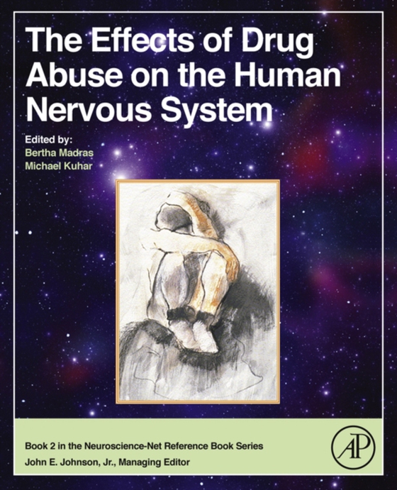 Effects of Drug Abuse on the Human Nervous System