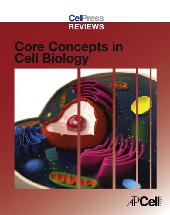 Cell Press Reviews: Core Concepts in Cell Biology (e-bog) af -