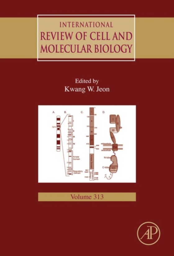 International Review of Cell and Molecular Biology (e-bog) af -