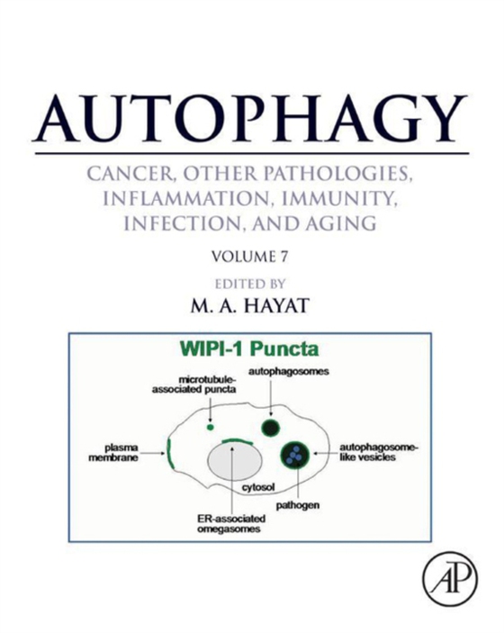 Autophagy: Cancer, Other Pathologies, Inflammation, Immunity, Infection, and Aging (e-bog) af -