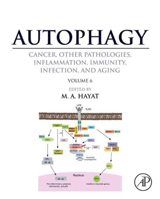 Autophagy: Cancer, Other Pathologies, Inflammation, Immunity, Infection, and Aging (e-bog) af -