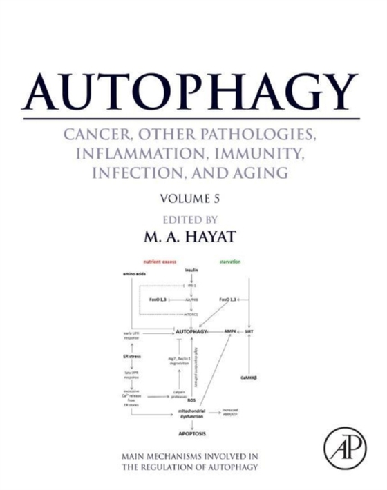 Autophagy: Cancer, Other Pathologies, Inflammation, Immunity, Infection, and Aging (e-bog) af -