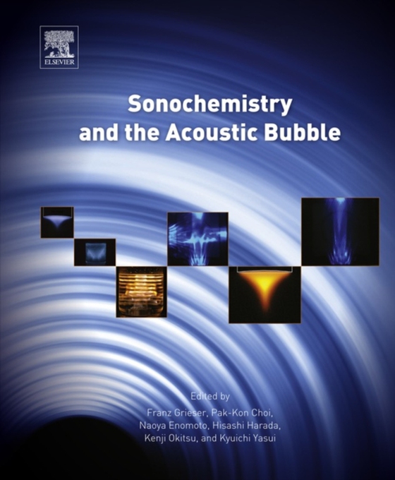 Sonochemistry and the Acoustic Bubble (e-bog) af -