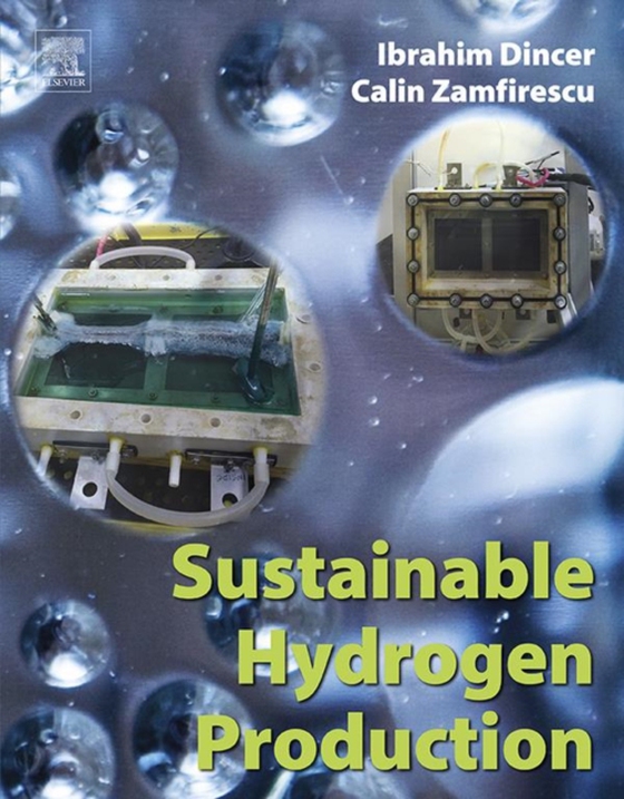 Sustainable Hydrogen Production (e-bog) af Zamfirescu, Calin