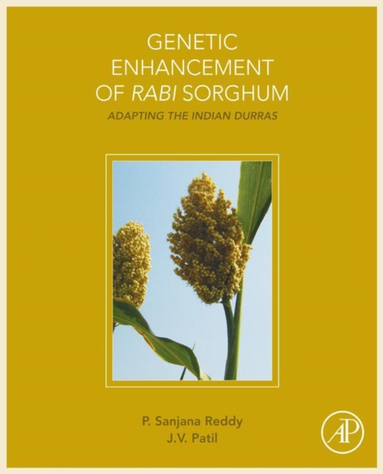 Genetic Enhancement of Rabi Sorghum (e-bog) af Patil, J.V.