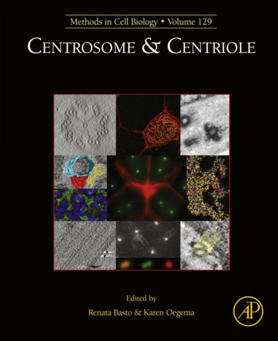 Centrosome and Centriole (e-bog) af -