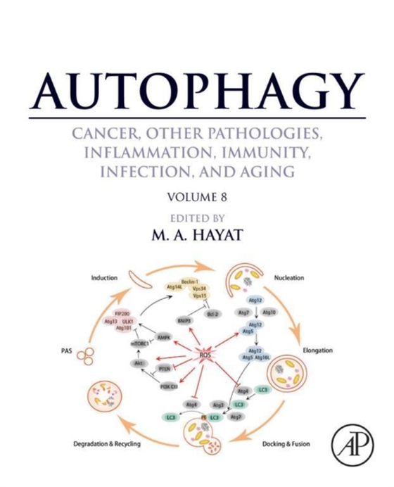 Autophagy: Cancer, Other Pathologies, Inflammation, Immunity, Infection, and Aging (e-bog) af -