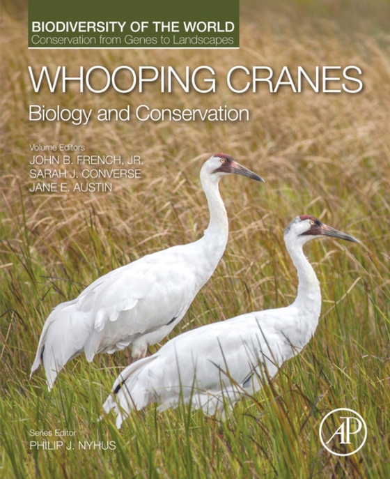 Whooping Cranes: Biology and Conservation (e-bog) af -