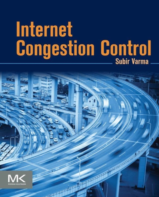 Internet Congestion Control