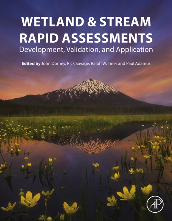 Wetland and Stream Rapid Assessments (e-bog) af -