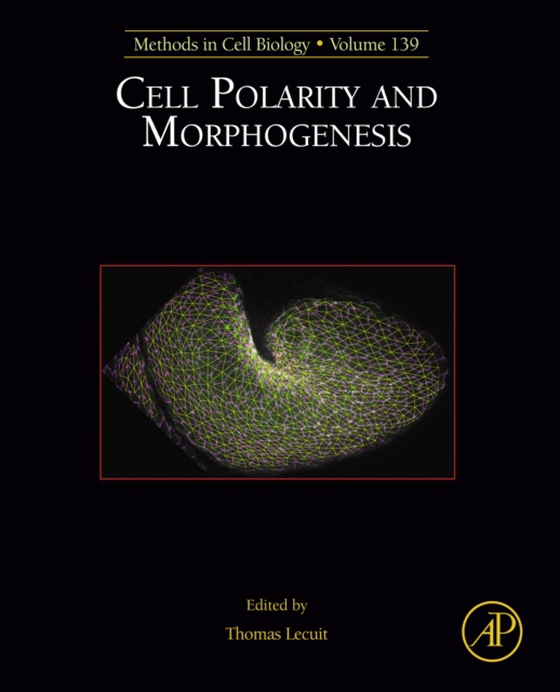 Cell Polarity and Morphogenesis